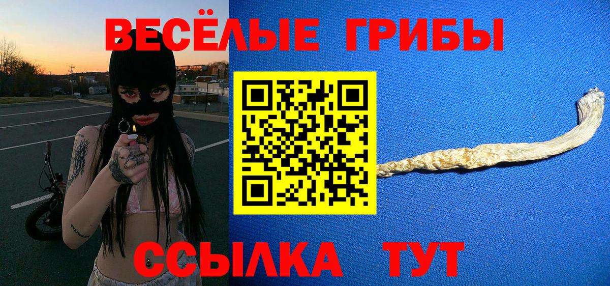 Галлюциногенные грибы GOLDEN TEACHER  Вход с VPN  Черняховск 